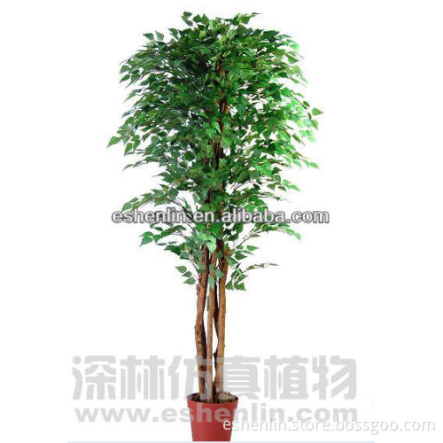 artificial BIRCH real trunk trees(SIX trunks)